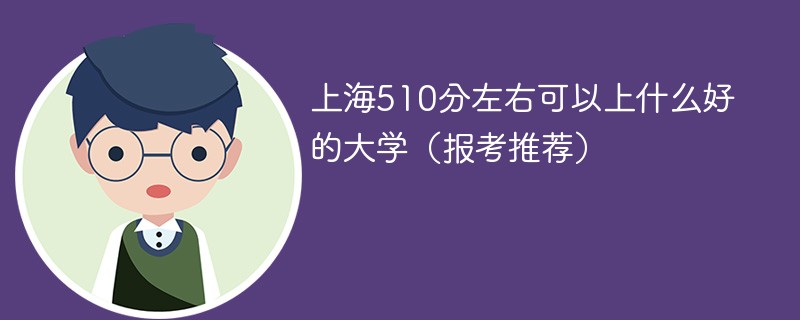 上海510分能考上什么大学